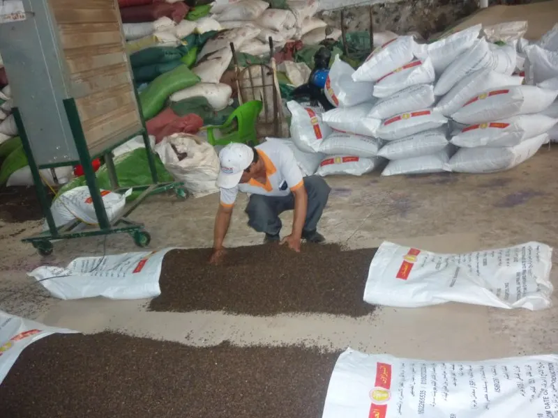 FINDING BLACK PEPPER BUYERS - Whatsapp (+84)946129967 - ms.April