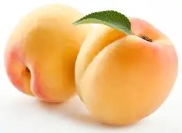 
Cheap Fresh Apricots , Wholesale Fresh Apricots , Bulk Fresh Apricots 
