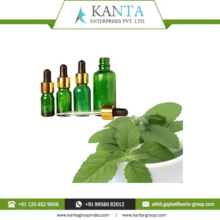 100% Pure and Natural Basil Essential Oil Reducing disease-causing inflammation Low Price from India