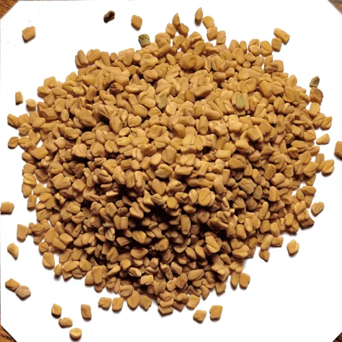 100% pure dehydrated yellow fenugreek seed quality for Oman Saudi Arabia Qatar Dubai importers
