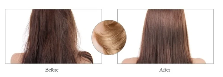 Evening Primrose Oil Wholesale Supplier Organic Carrier Oil Cold Pressed Evening primrose oil at best price for Skin care