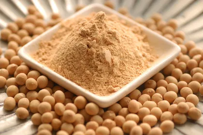 ROASTED SOYBEAN FLOUR FROM VIETNAM GOOD PRICES