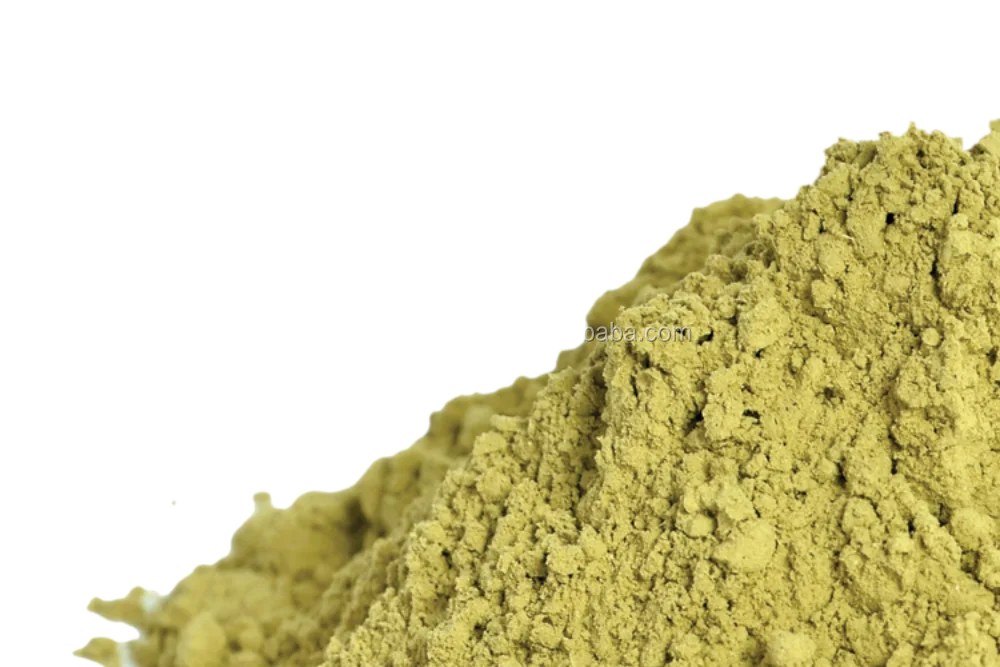 Cassia Angustifolia Extract Powder