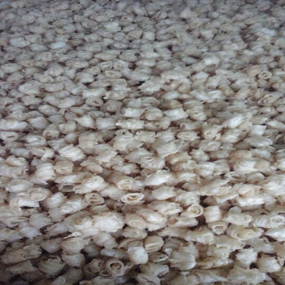 Bulk Sun-Dried Fish Piece from Vietnam Fish Fillet with HACCP Certification and 24 Months Shelf Life