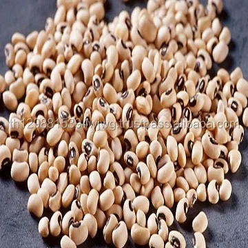 organic green agriculture products natural yellow soybean