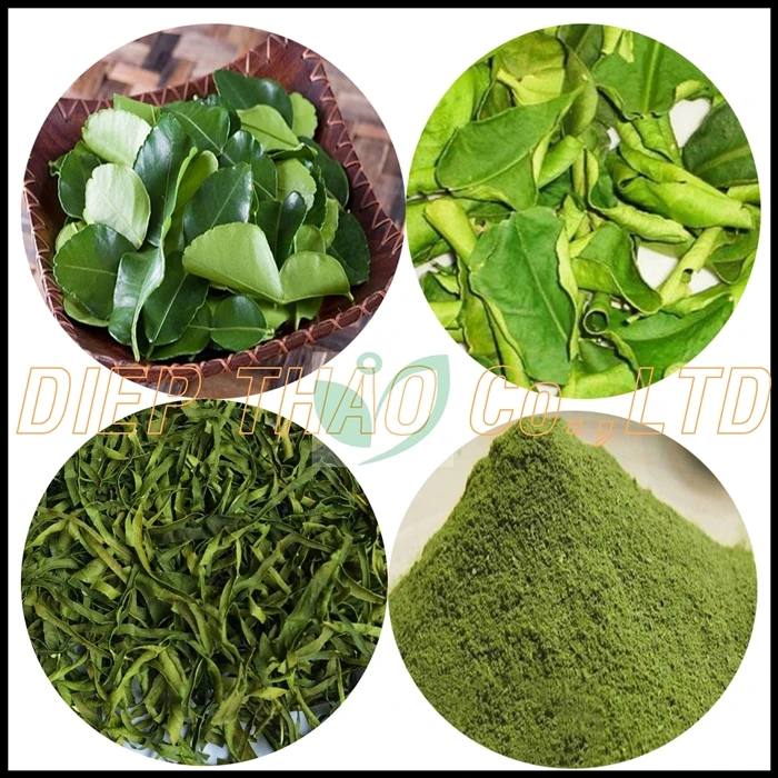 Supplier lemon seedless from vietnam with best quality/ rich vitamins/ much lemonade/