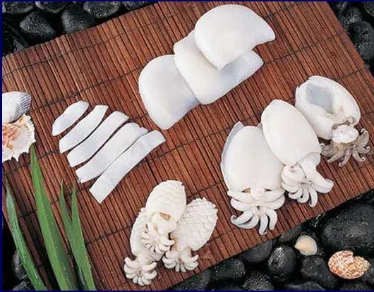 high quality frozen/dried cuttlefish