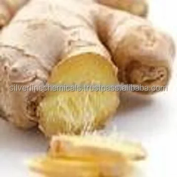 GINGER ESSENTIAL OIL