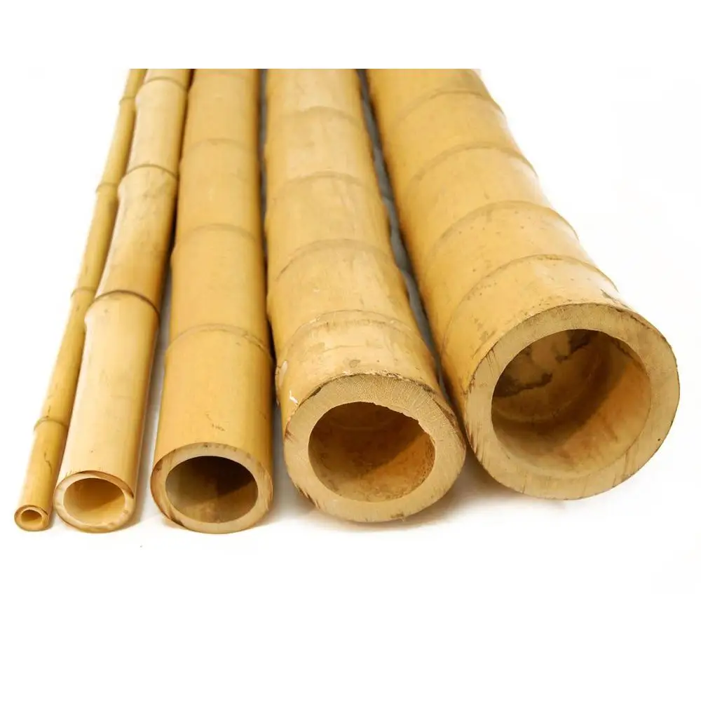WHOLESALE BAMBOO POLE FOR MAKING FLUTE FROM VIETNAM / WHATSAPP +84 845 639 639