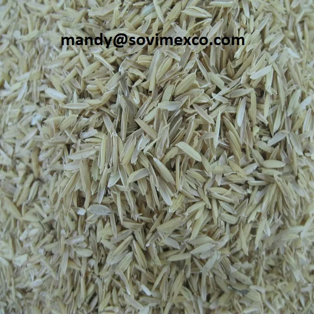 RAW RICE HUSK