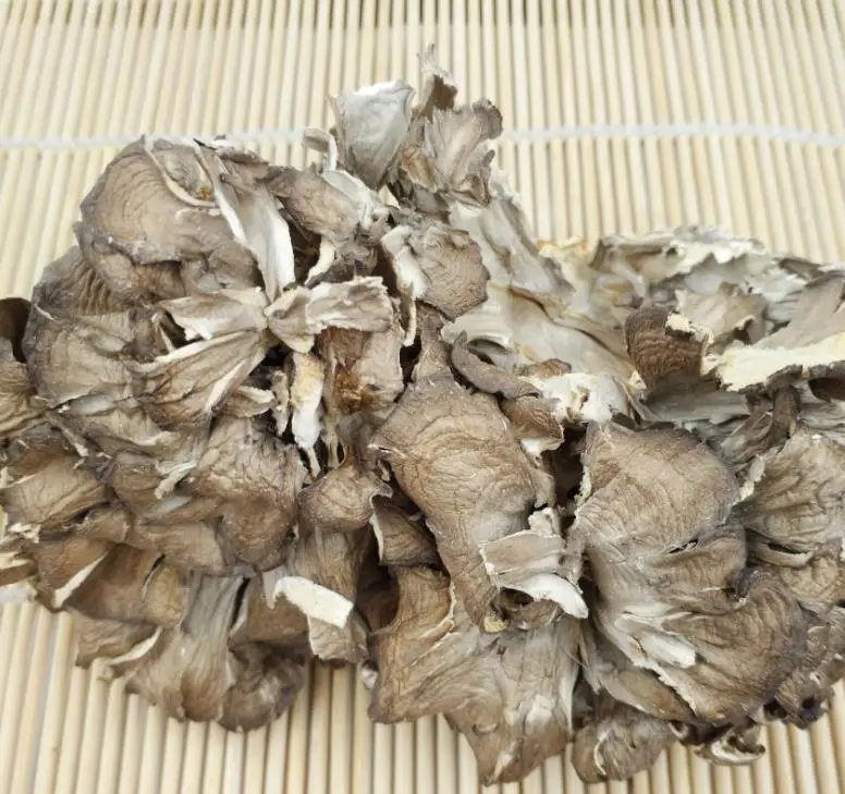 Natural dried Dancing Mushroom Grifola Hen of the Woods Shelf Fungi for food