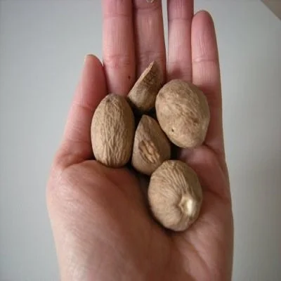 High quality seasoning natural nutmeg for sale