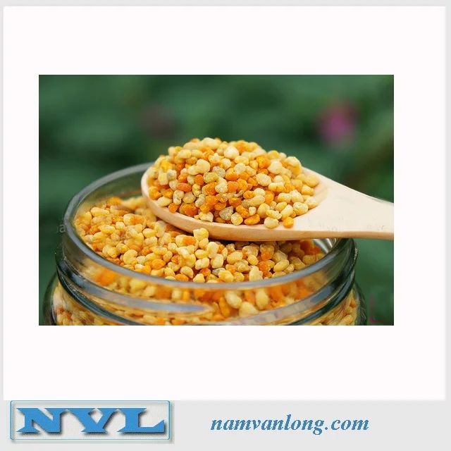 Top Quality 2023 - BEE POLLEN with COMPETITIVE PRICE from Vietnam
