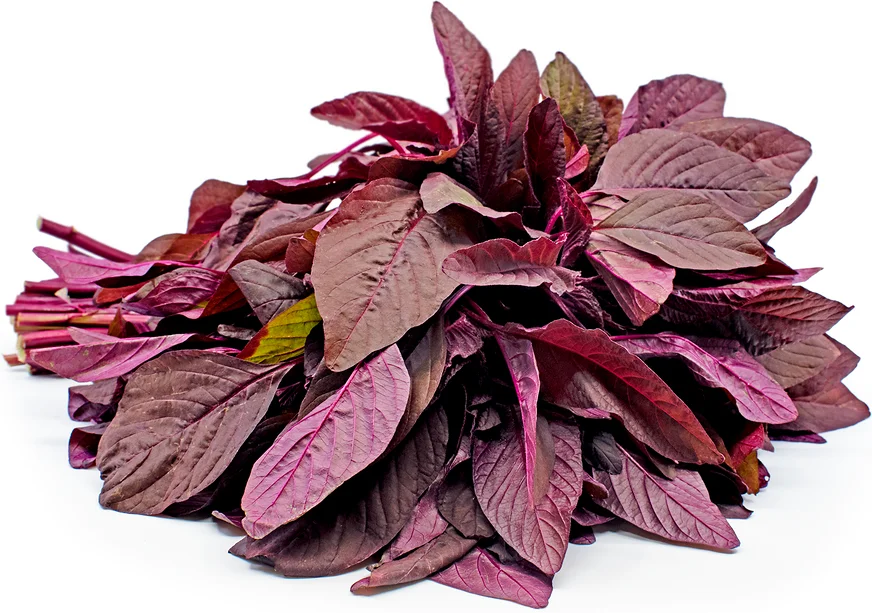 Vegetable Vietnam/ Red Amaranth