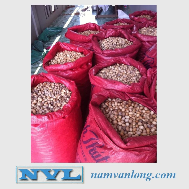 TOP SALE!!! DRIED BETEL NUT at VERY HIGH QUALITY & THE BEST PRICE FROM VIETNAM VENDOR 2022
