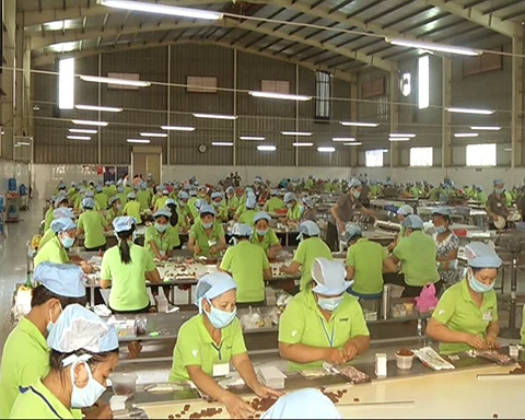 Coconut candy vietnam/coconut milk candy/Milk durian coconut in 2020