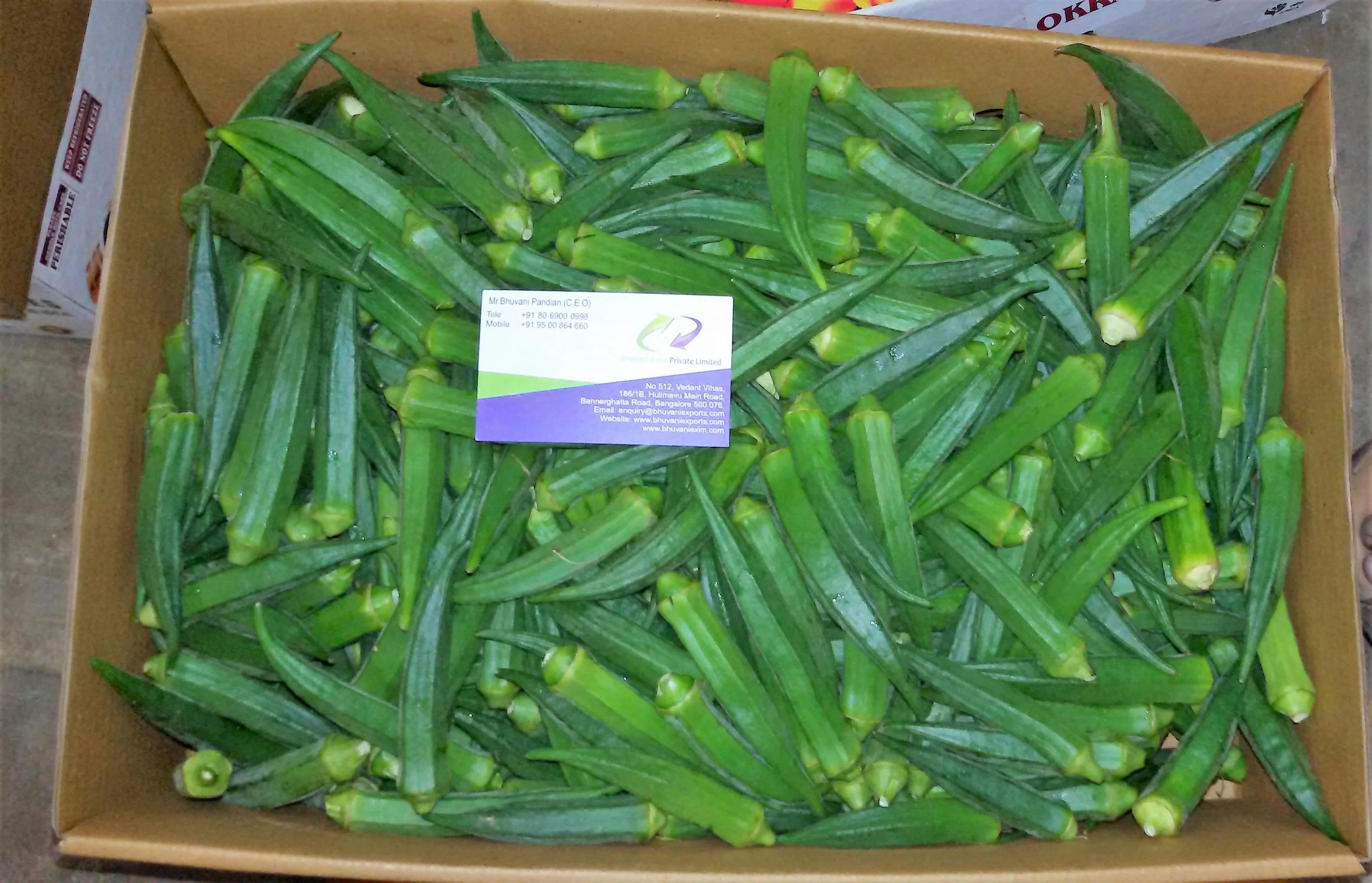 Organic Ladies Finger/Fresh Okra/Fresh Vegetables!