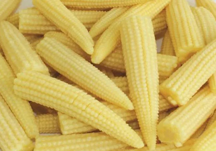 PREMIUM FROZEN BABY CORN, RICH IN VITAMIN B