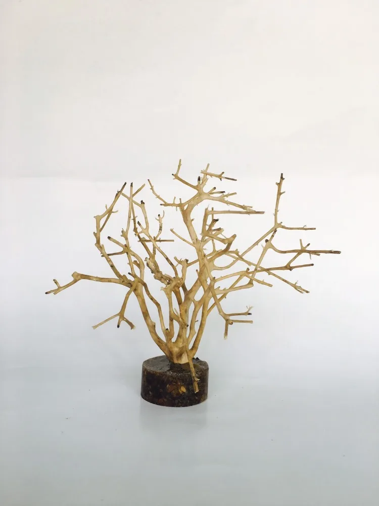 Wholesale Aquarium Polyresin Coral Ornament Fish Accessories Decorations Box Logo Tank Packing Balance Hotel Feature Eco Brown