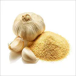Garlic Extract Allium Sativum Seed Powder Herbal Extract Cool Dry Place Solvent Extraction Light Yellow Brown Food SVA-AS 022