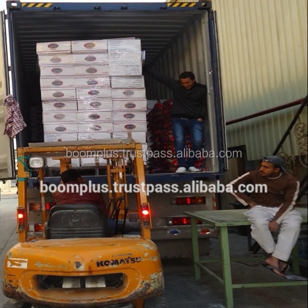 Short Cut Dry Pasta 5 kg Durum Wheat Mada Plus Brand Pasta Egyptian Product Penne Fusilli