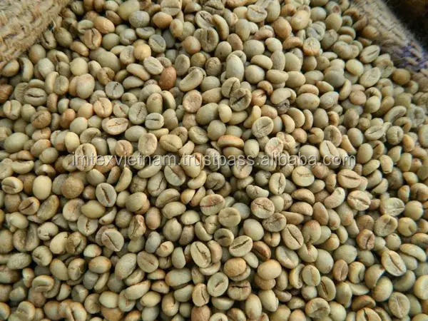 VIETNAM ROBUSTA COFFEE SCREEN S18 ( WHATSAPP: 0084 164 9078 009 )