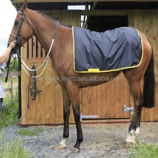 Equisafety Hi Viz Winter Wraparound Exercise Horse Quater Riding On Sheet Rug