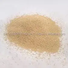 High Quality South African Instant Dry Yeast