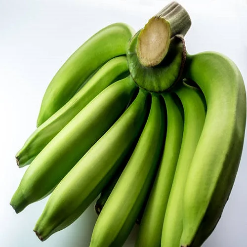 
Top Quality Fresh Plantain Banana 