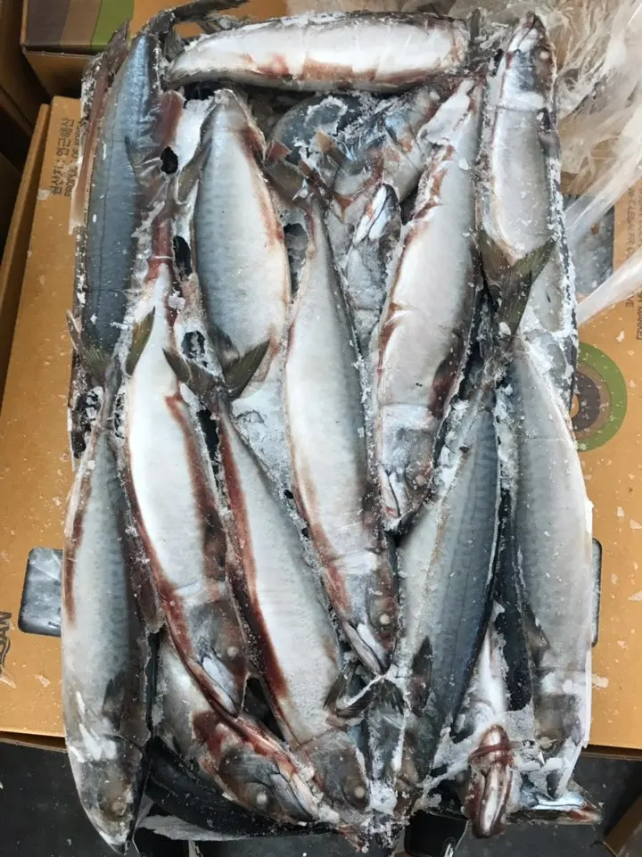  Замороженная Тихоокеанская скумбрия