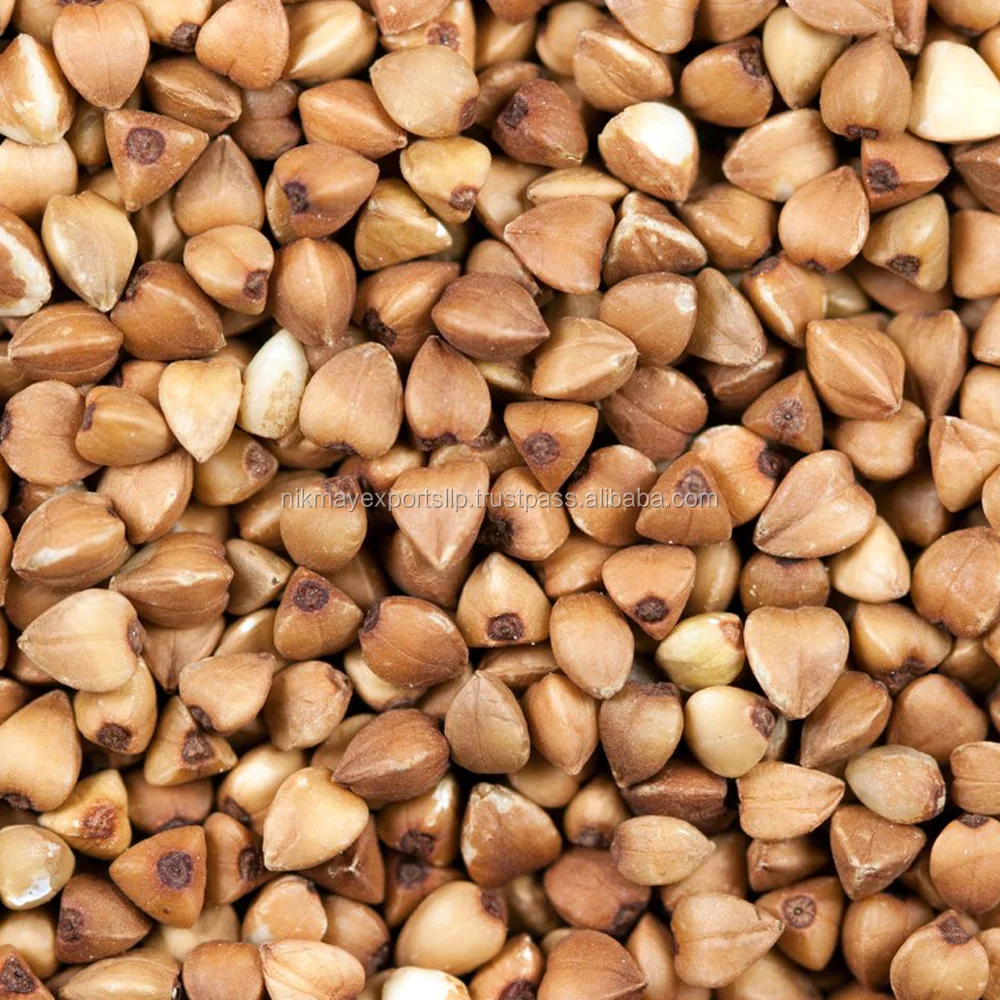
buckwheat origin INDIA from NIK-MAY EXPORTS LLP 