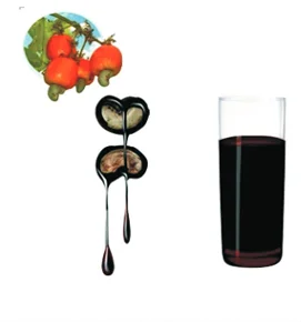 Crude Cashew Nut Shell Liquid Oil From Vietnam With Ideal Price