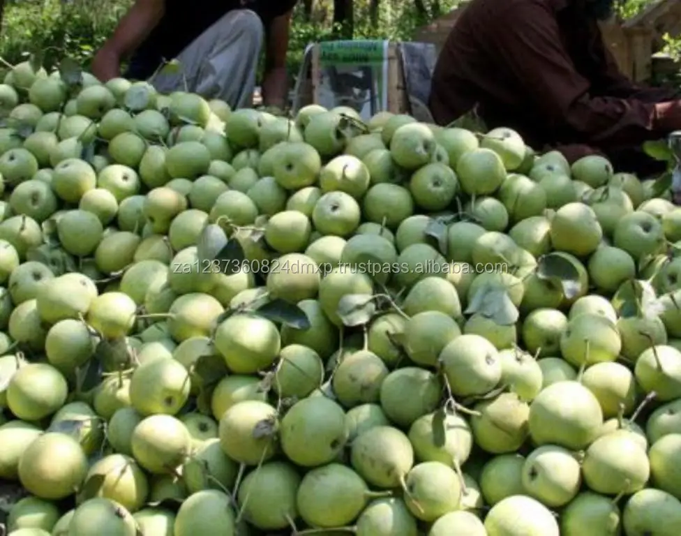 
FRESH PEARS, BEST QUALITY FRESH PEARS FROM SOUTH AFRICA 