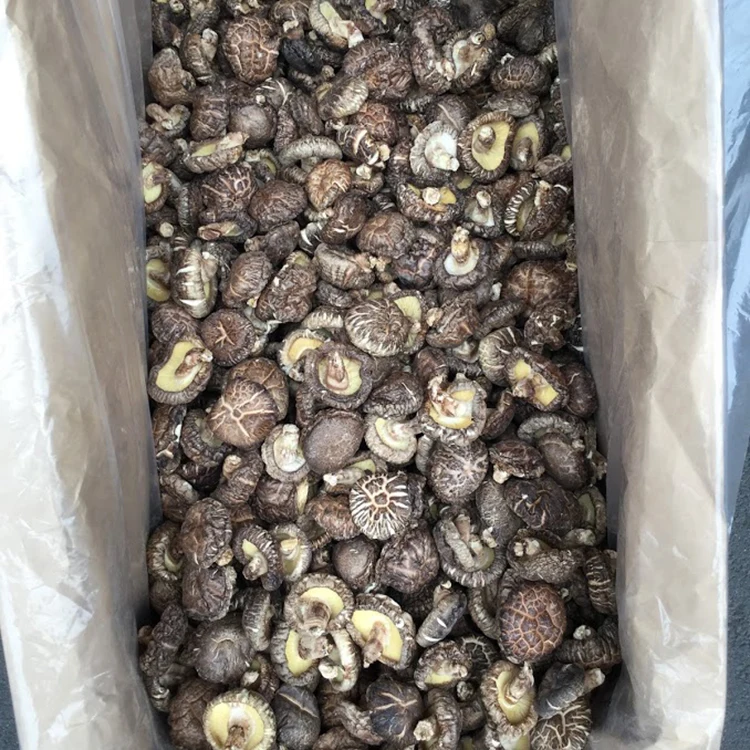 
Wood planting Japan Oita export dried shiitake mushroom for longevity secret 