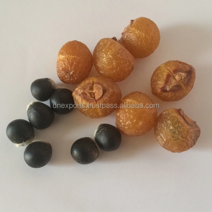 Natural wild crafted hand processed soapnut shell /