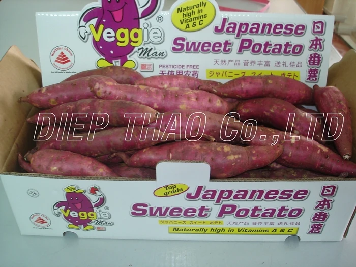 EXPORTING FRESH PURPLE YAM/ PURPLE SWEET POTATO