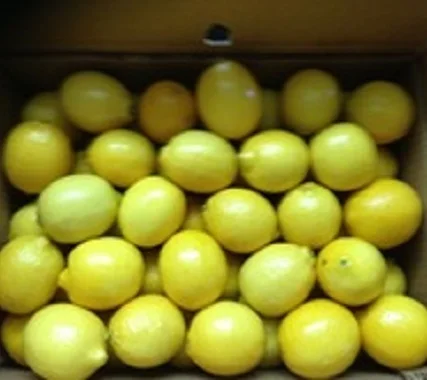 100% Purity Fresh Lemon Fruit