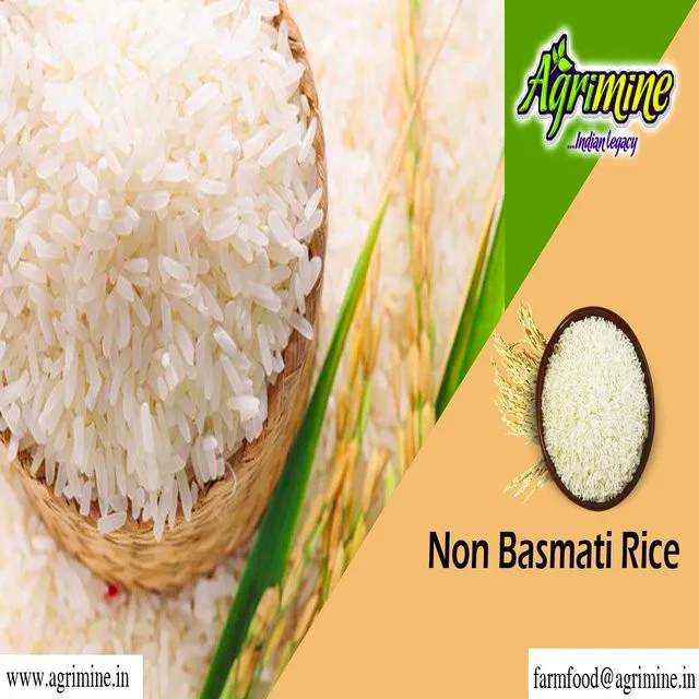 ARANI PONNI RICE
