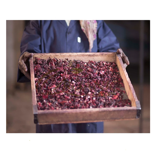 Dried Hibiscus Flowers Best Quality at Wholesale price