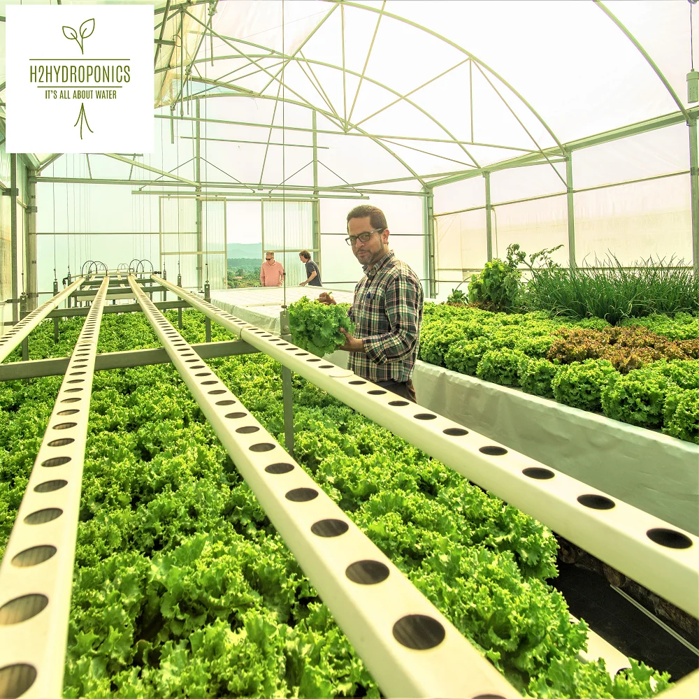 aeroponic system vertical