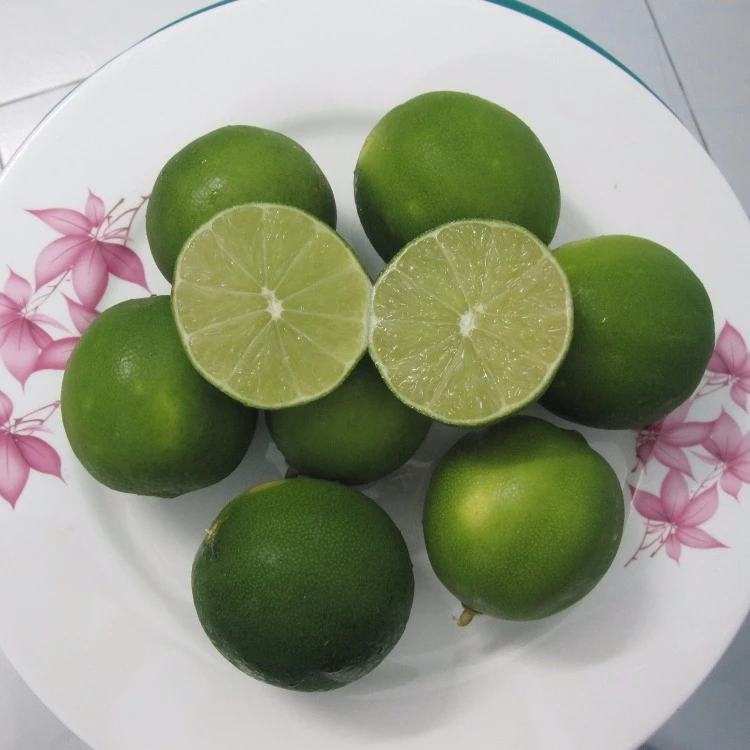 Свежие листья Лайма без семян/сушеные листья каффира лайма
