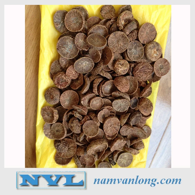 TOP SALE!!! DRIED BETEL NUT at VERY HIGH QUALITY & THE BEST PRICE FROM VIETNAM VENDOR 2022