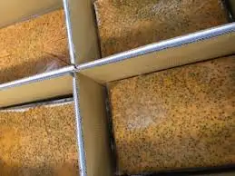 Cheapest Fresh freeze passion fruit in the world