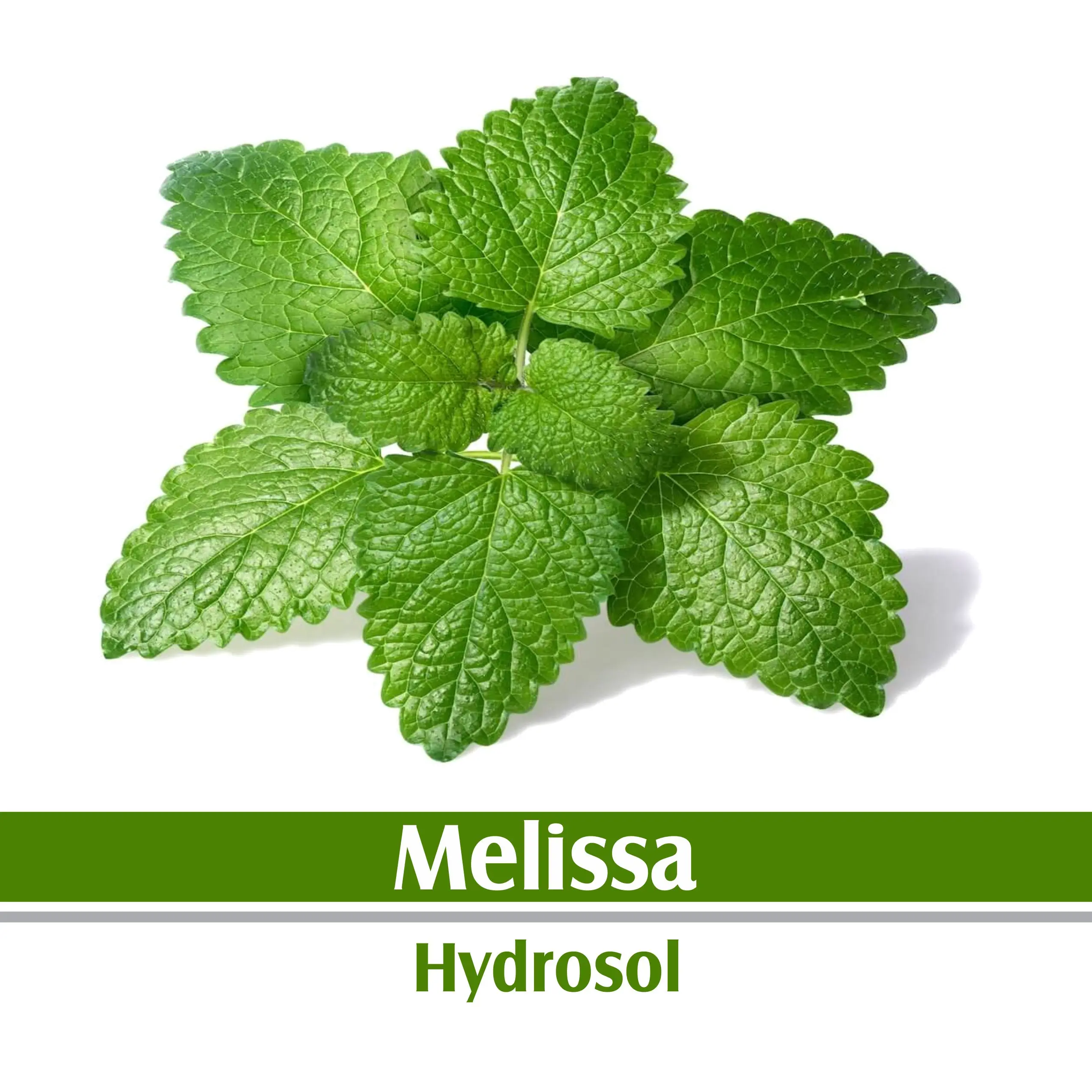 Melissa (Lemon Balm) Hydrosol 100% Pure and Natural