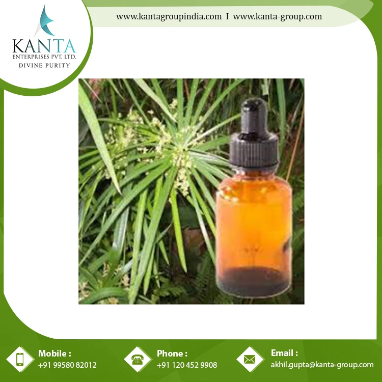 Wholesale Price Pure Cypriol Essential Oil used in the medication of skin diseases at Lowest Price