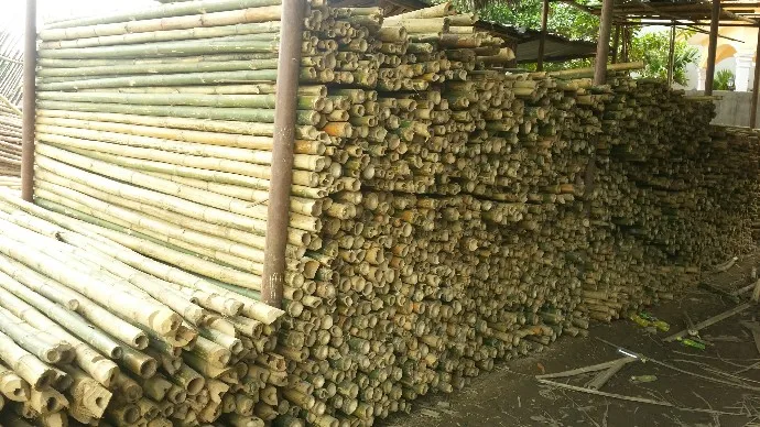 Необработанные бамбуковые стержни/горячая Распродажа продукции по лучшей цене: стержни сделанные во Вьетнаме