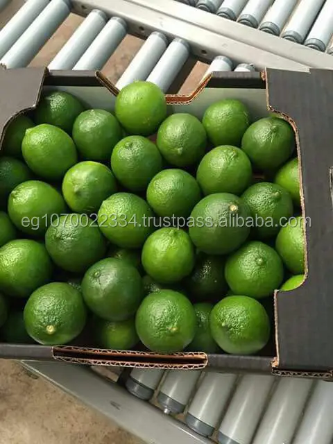 Fresh seedless lime to Thailand