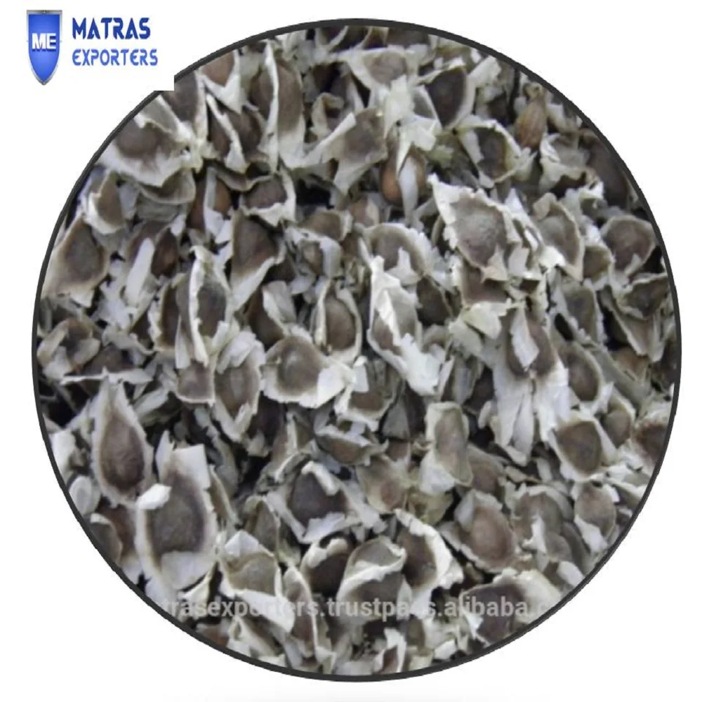 PKM1 Moringa Oleifera Seeds for Oil Extraction -  - Whatsapp :+91 73580 94554
