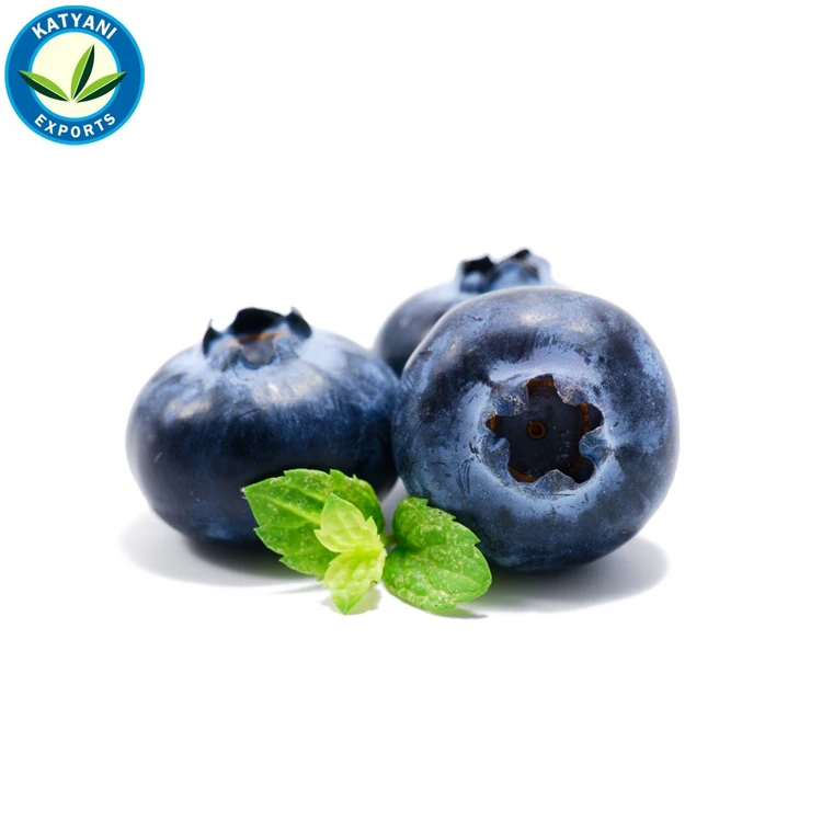 Factory Direct Supply Organic Blueberry Seed Oil
