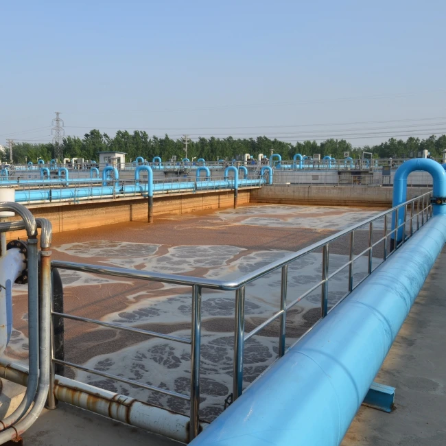 Biological microbes to control generation of hydrogen sulphide and ammonia in wastewater